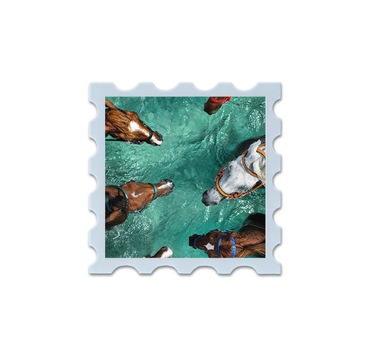 Alkhuyul | الخيول